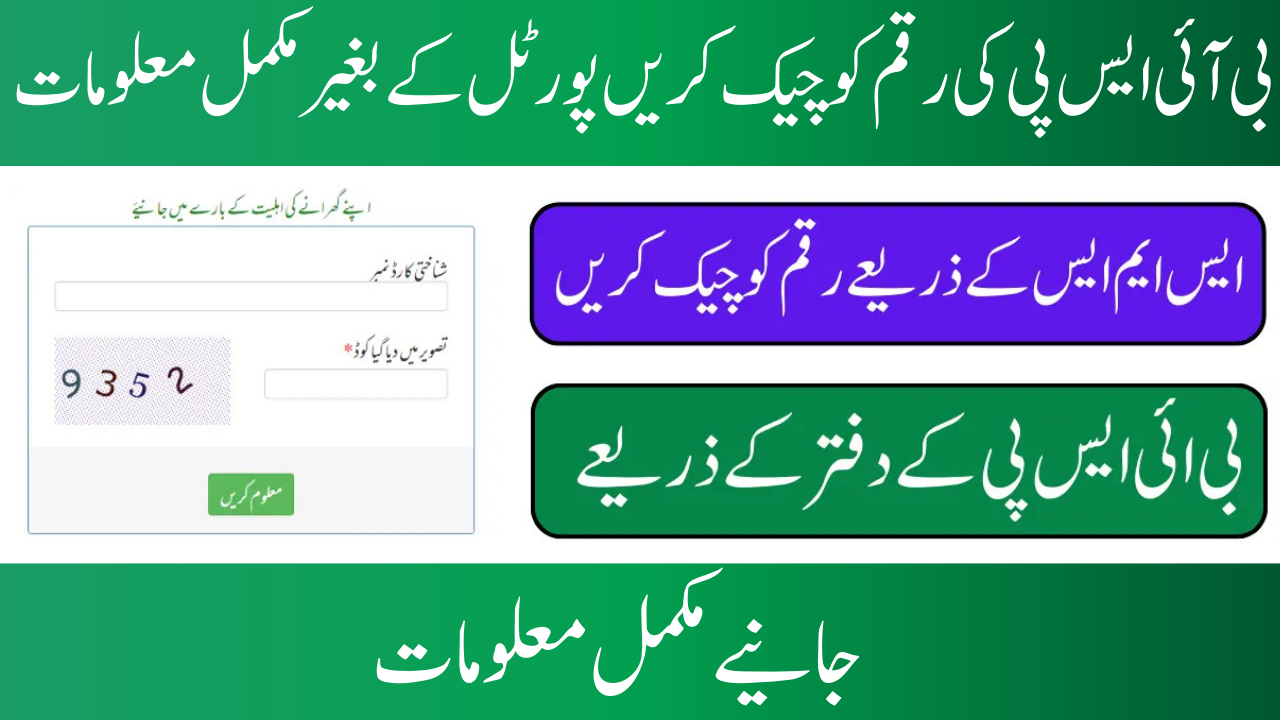 Checking BISP Payments Without a Web Portal