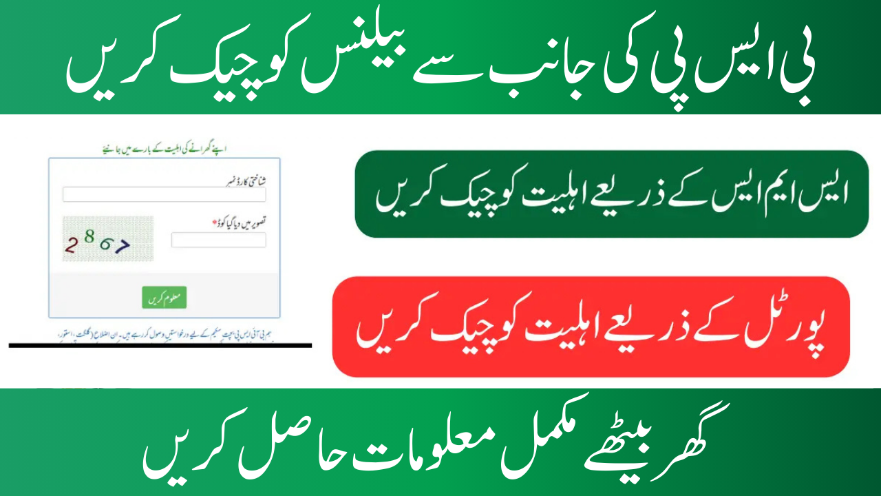 Check Your BISP Balance Online With The 8171 Web Portal