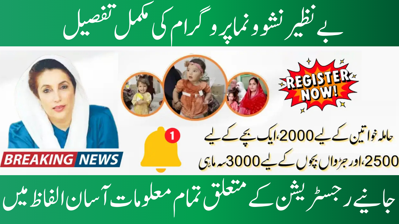 The 2025 Benazir Nashonuma Program