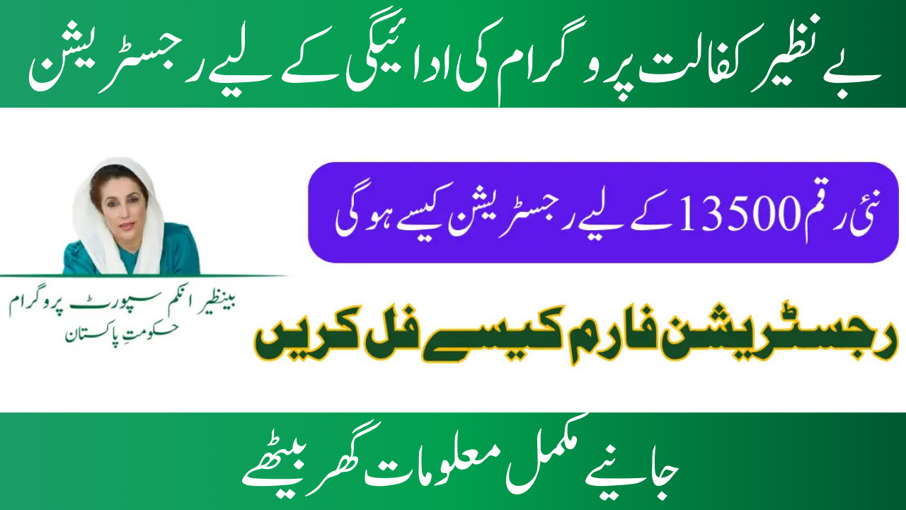 Registration for the Benazir 8171 Program in 2025