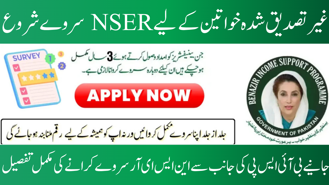 Phase 3 of BISP 8171 Payment