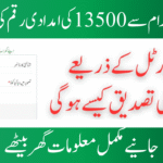 Verification of the 8171 Program's New Registration Web Portal