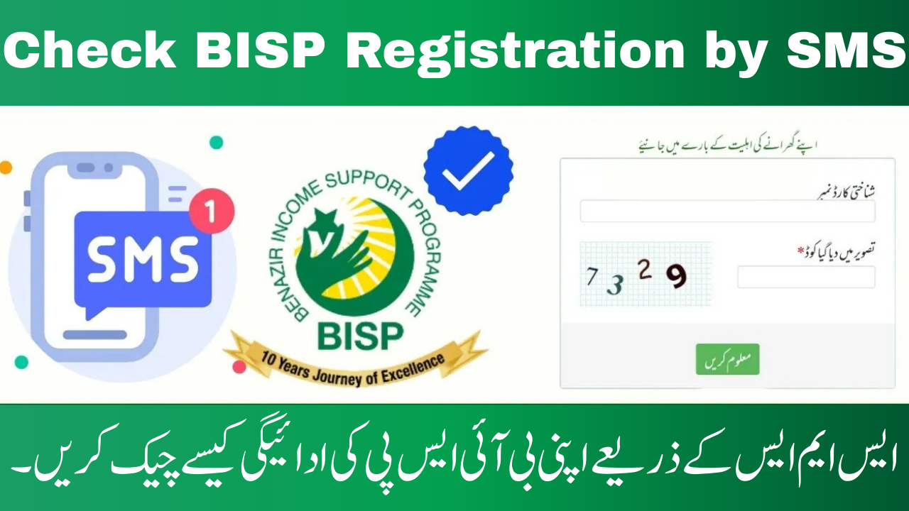 BISP 8171 Online Check Balance via Portal & SMS 2025