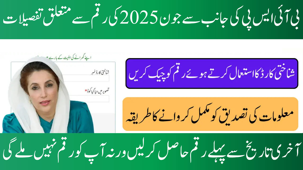 BISP Payment Check for June 2025