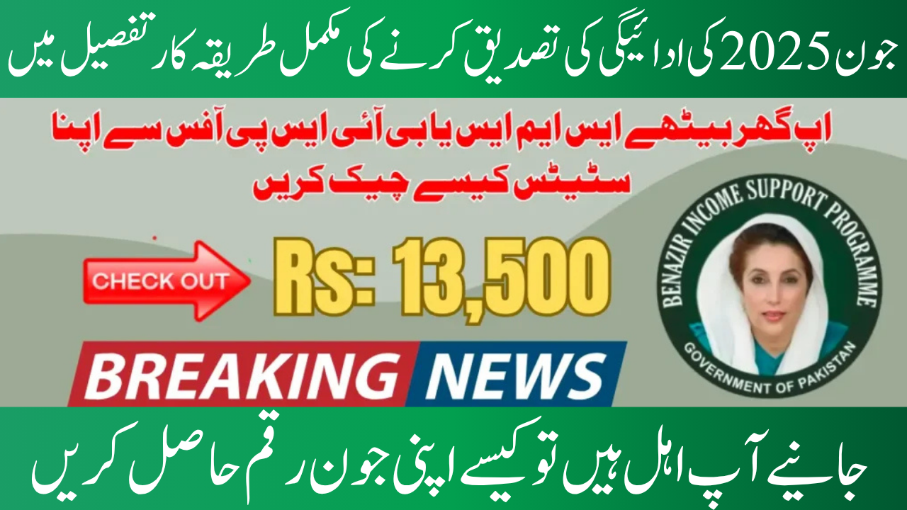 Status of BISP 8171 June 2025 Payment Check