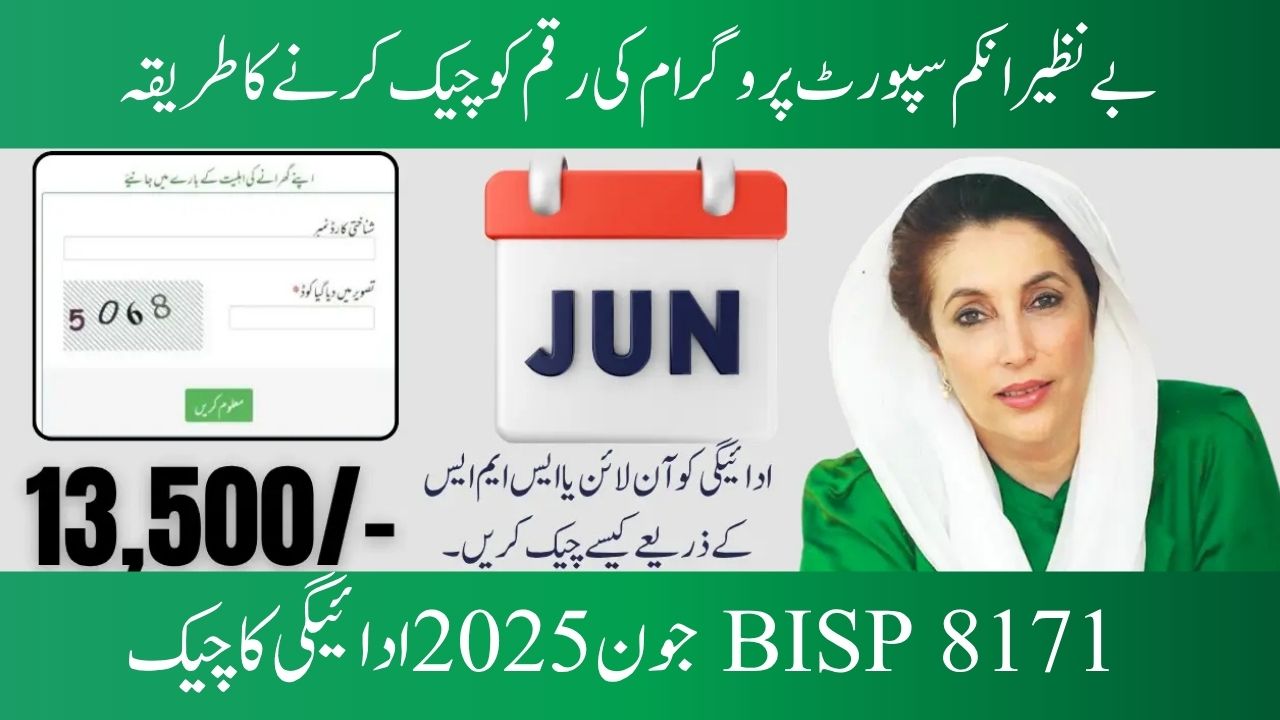 Payment Check for BISP 8171 June 2025 via CNIC Online 13500