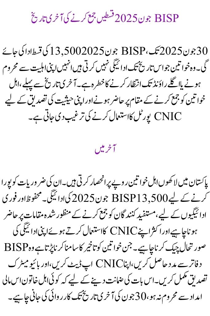 Status of BISP 8171 June 2025 Payment Check