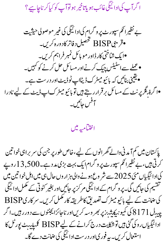 Benazir Income Support Programme May 2025