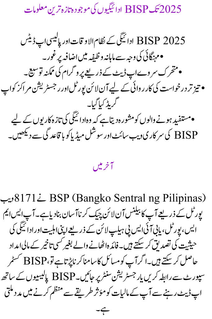 Check Your BISP Balance Online With The 8171 Web Portal