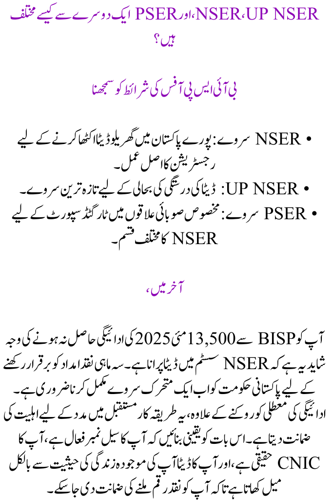 Verification of Payment for BISP 8171 May 2025