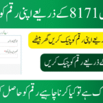 8171 Check Online 13500 Web Portal 2025