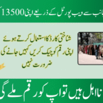 Web Portal BISP 8171 for June Payment 13500 Check