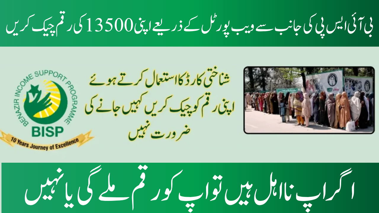 Web Portal BISP 8171 for June Payment 13500 Check