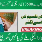 BISP 13500 Payment New System