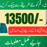 8171 Validation To Verify BISP 13500 Payment Using ID Card