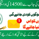 Details of the June 2025 BISP Payment