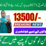 8171 Web Portal CNIC Confirmation