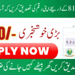 8171 Web Portal Payment Verification