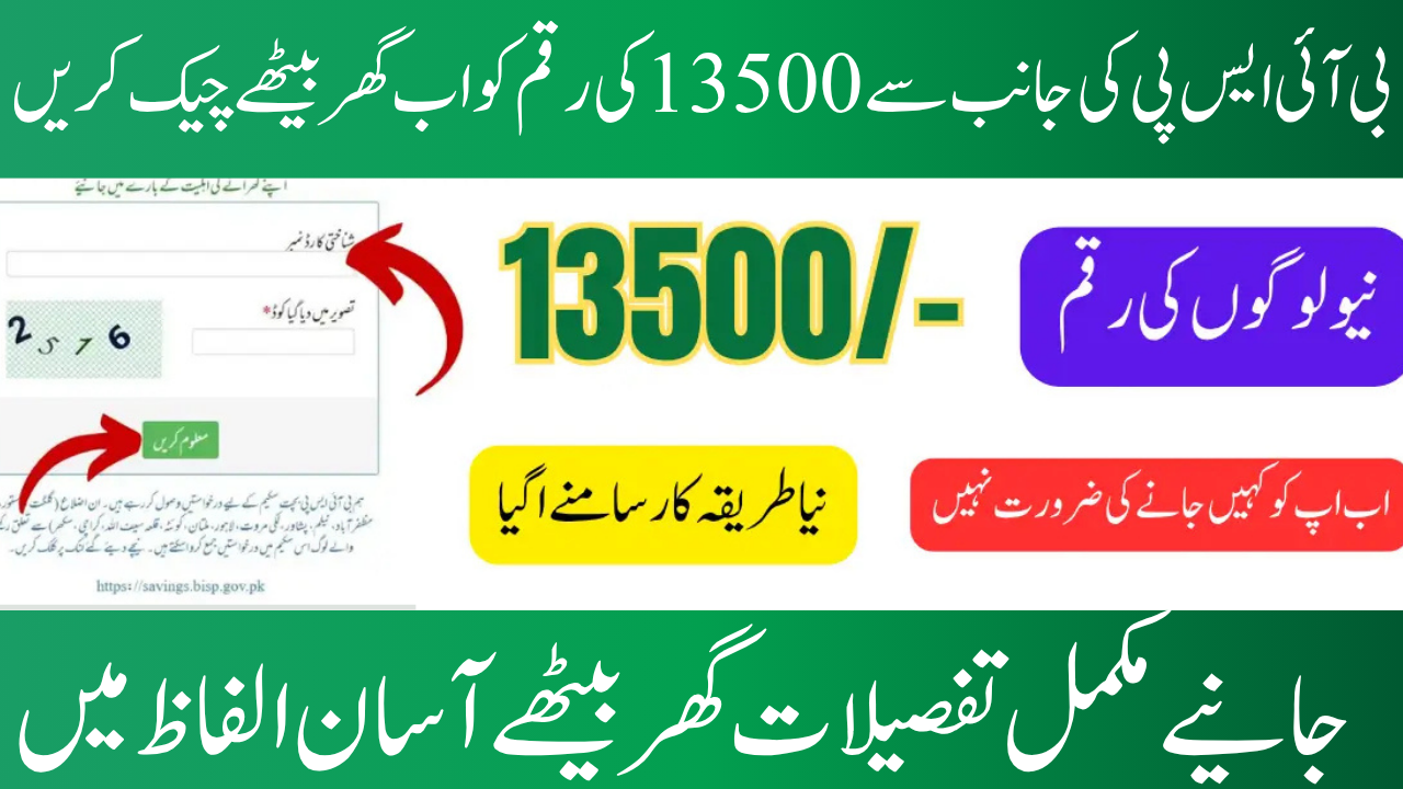 Offline BISP July 2025 Payment Track