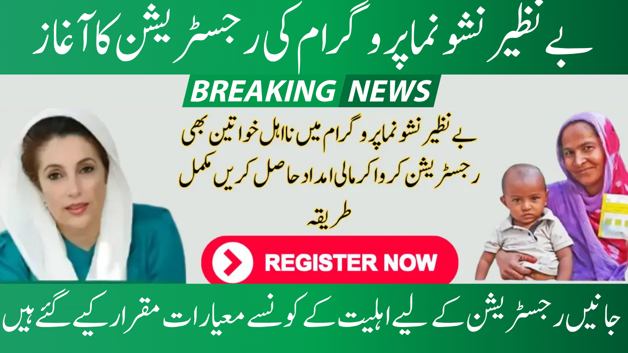 Benazir Nashonuma Program 2025