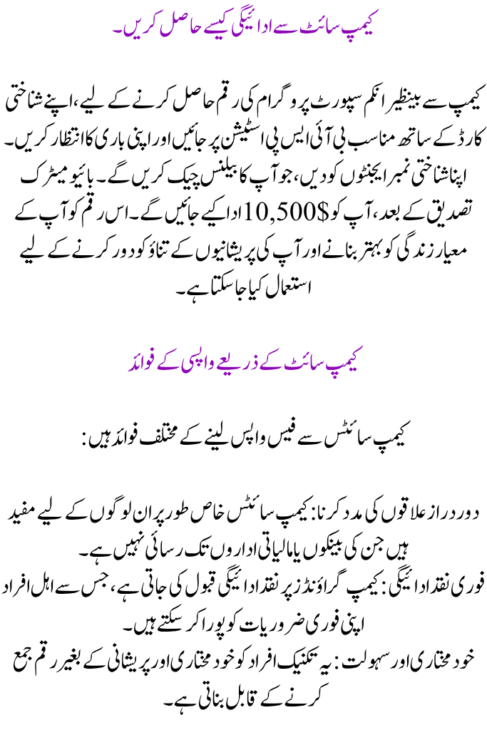 Delivery of Benazir Kafaalat 13500 Payment in 2025