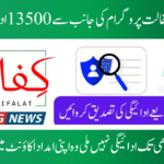 BISP Kafaalat Phase 3 Payments