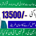 BISP Punjab July 2025 Payment Restarted