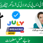 BISP 8171 Payment Beneficiaries for July 2025