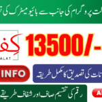 BVS Problems with BISP Kafalat