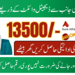 BISP Digital Wallet System