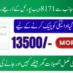 Web Portal 2025 for BISP 8171