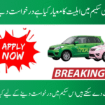 Punjab Green E-Taxi Scheme Criteria for Applicants
