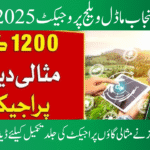 Punjab model village project 2025