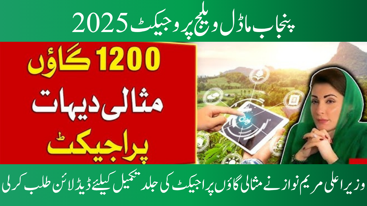 Punjab model village project 2025