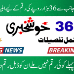 Eligibility for BISP 8171 July 2025 Payment