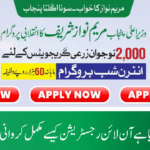 CM Punjab Agriculture Internship Program 2025