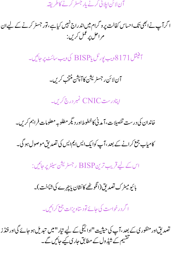 BISP 8171 Payment Update 2025