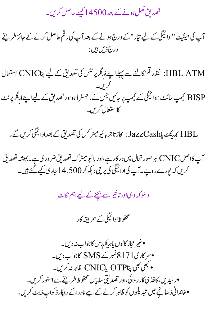 BISP 8171 Verification of Payment for July 2025
