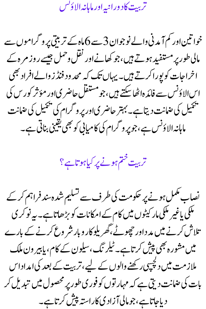 The Benazir Hunarmand Project