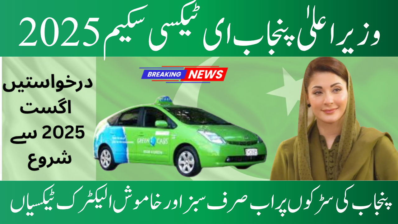 CM Punjab E-Taxi Scheme 2025