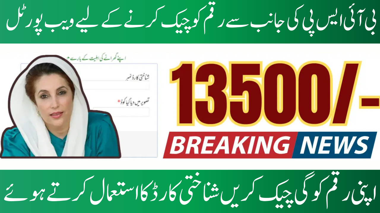 BISP 8171 Web Portal CNIC Check September 2025