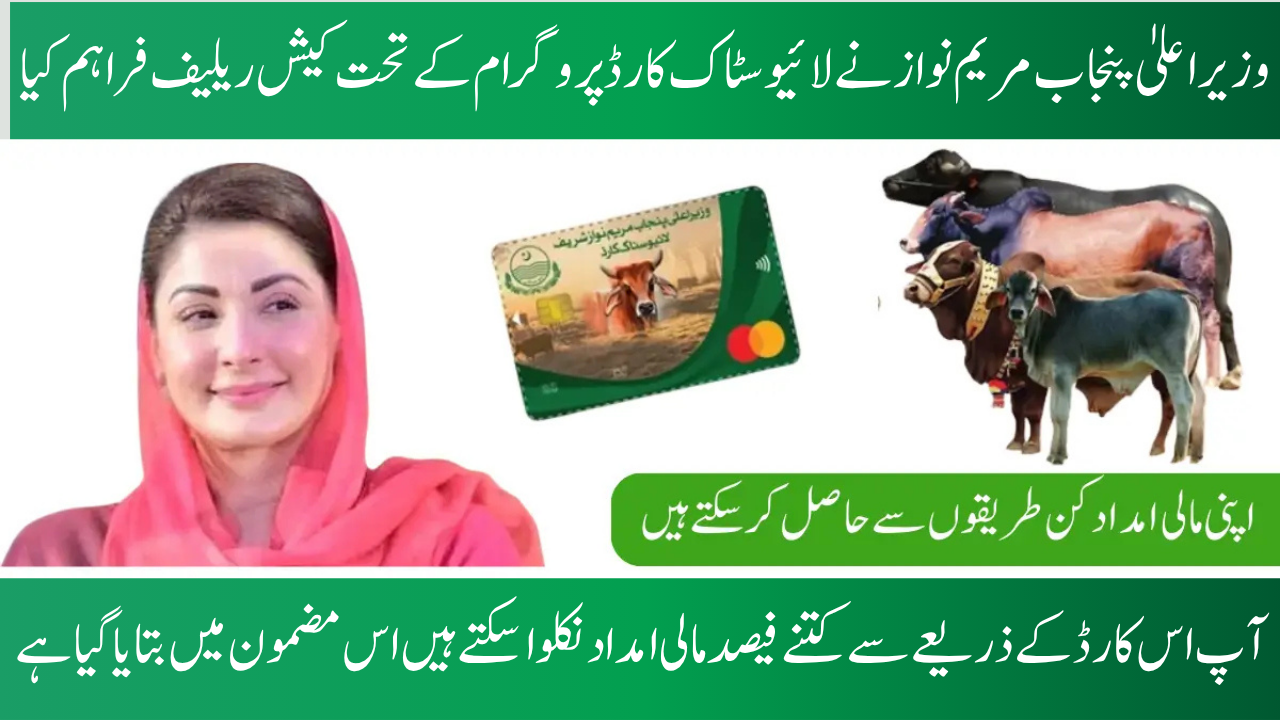 CM Launches Livestock Card Program with Cash Relief for Farmers