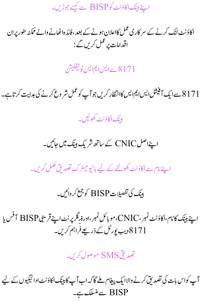 BISP 8171 New Bank Payment Method 2025