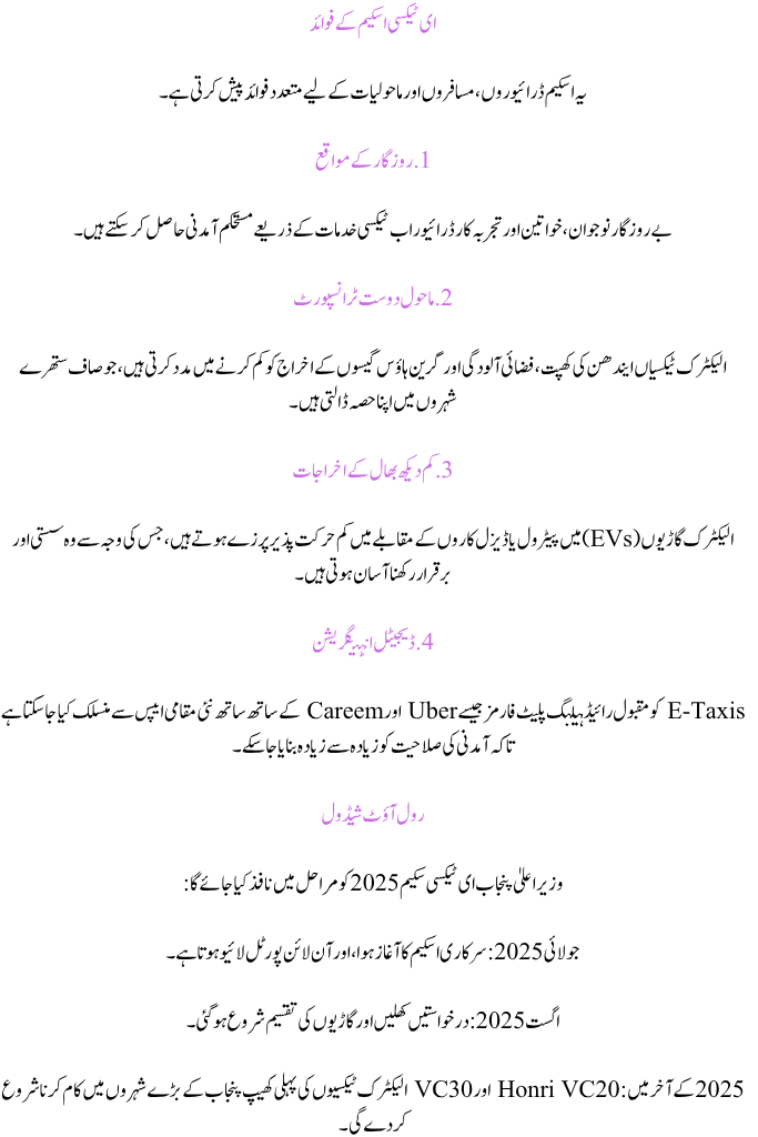 CM Punjab E-Taxi Scheme 2025