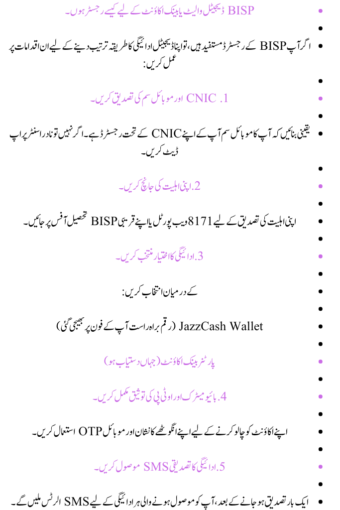 BISP Digital Wallet System