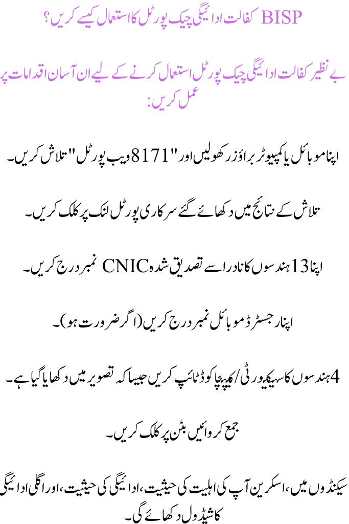 Benazir Kafalat Payment Check Portal 2025