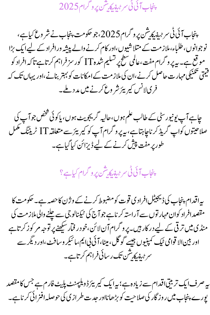 Punjab IT Certification Program 2025
