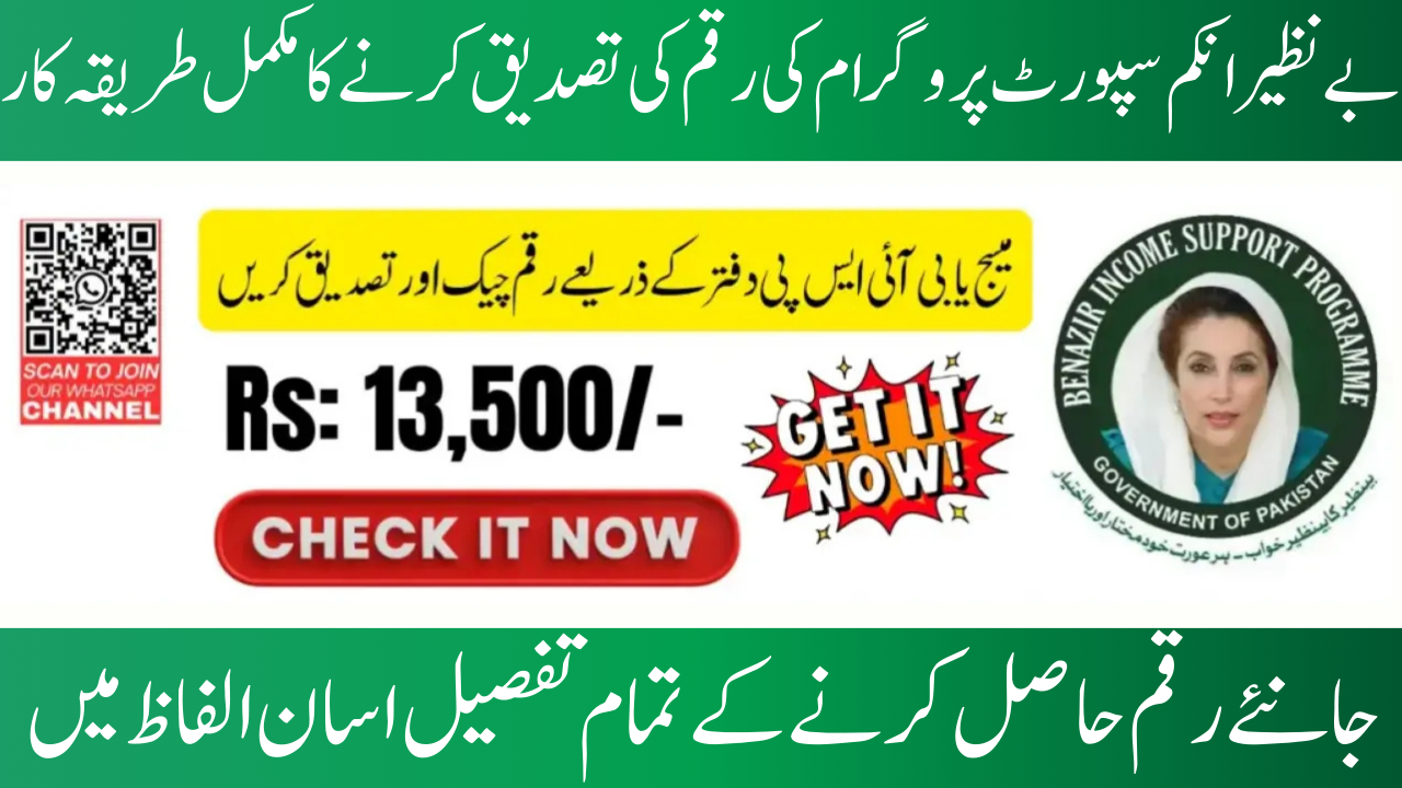 BISP 2025 Payment Offline Check Using CNIC 8171 SMS and Tehsil Office
