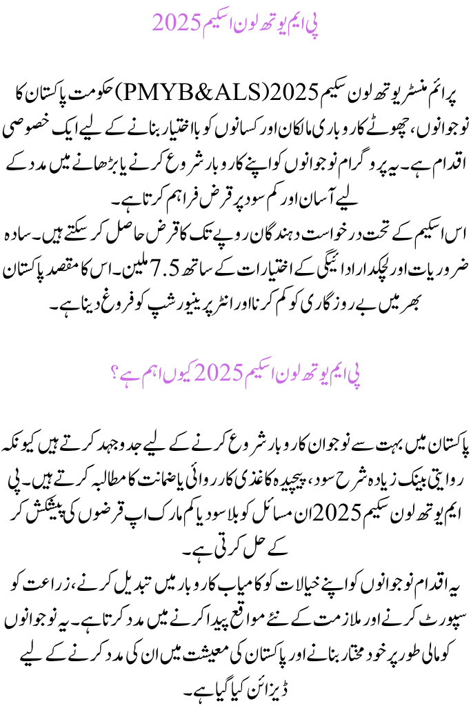 PM Youth Loan Scheme 2025: Complete Details and How to Apply