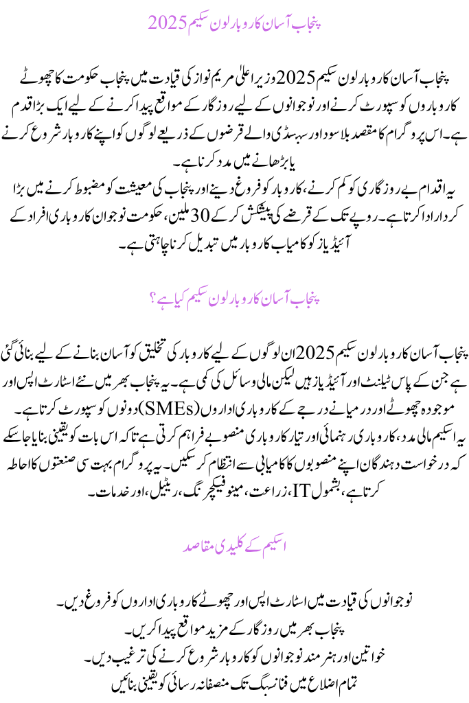 Punjab Asaan Karobar Loan Scheme 2025